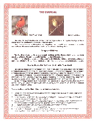 Cardinal write-up
